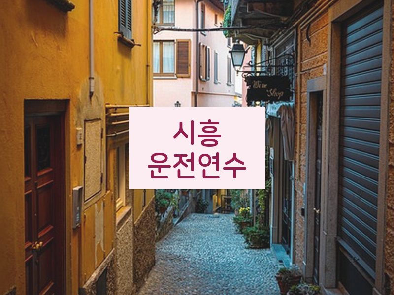시흥운전연수 후기