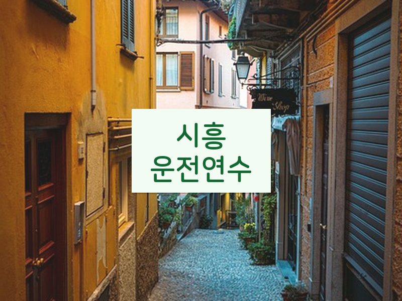 시흥운전연수 후기
