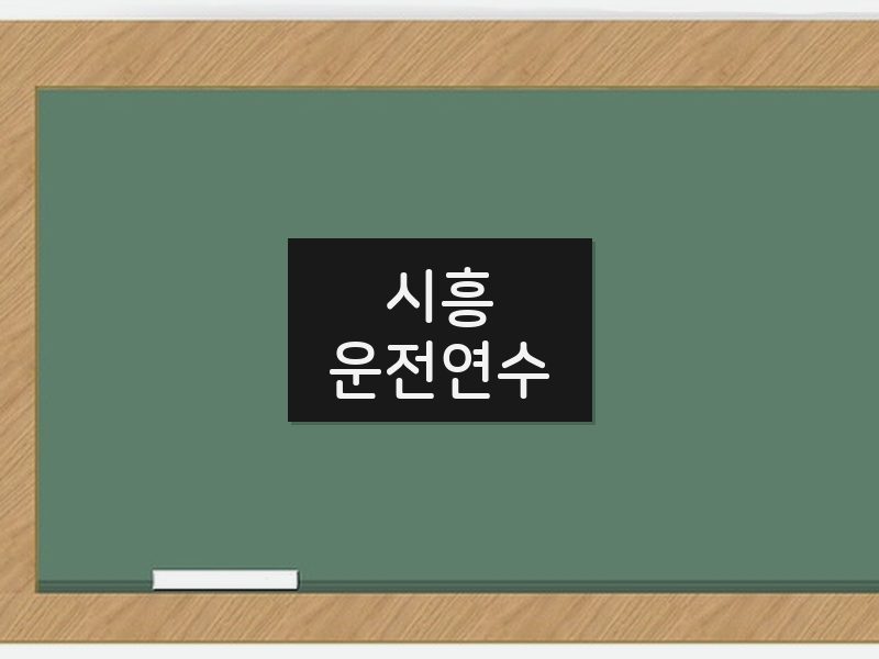 시흥운전연수 후기