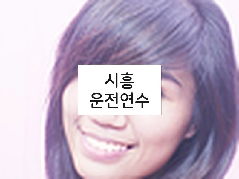 시흥운전연수 후기