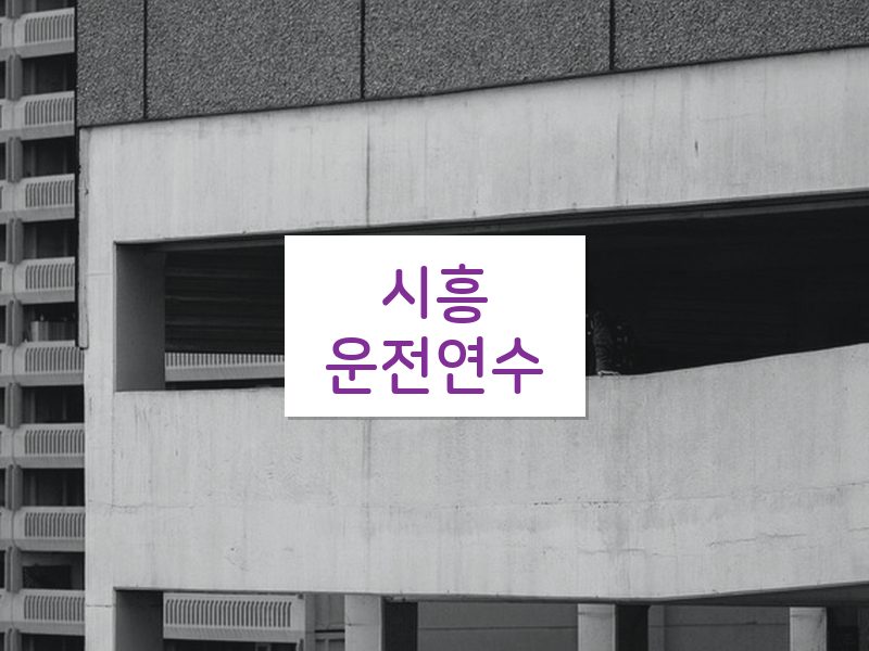 시흥운전연수 후기