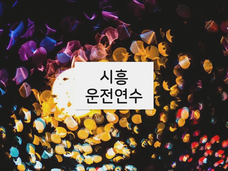 시흥운전연수 후기