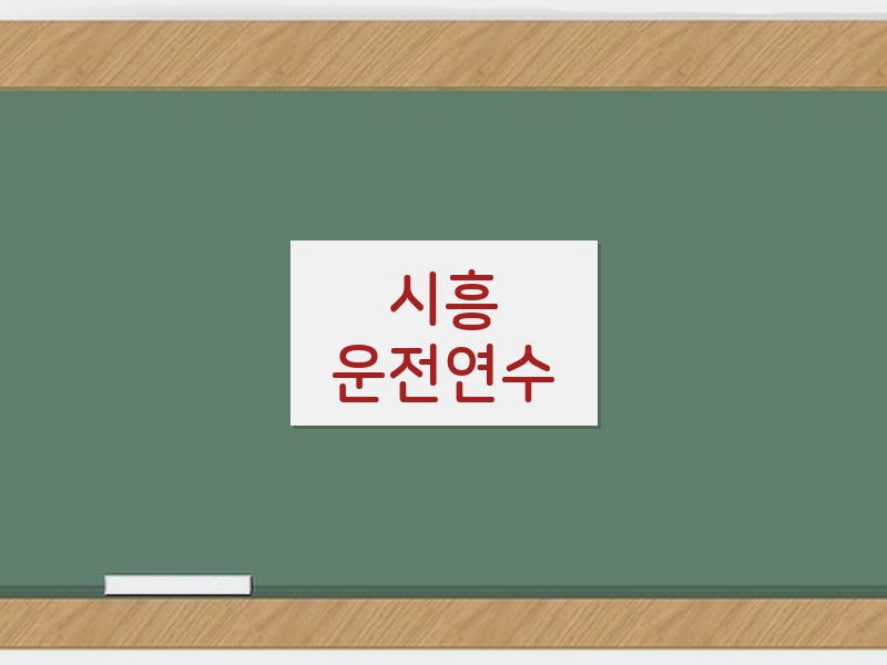 시흥운전연수 후기