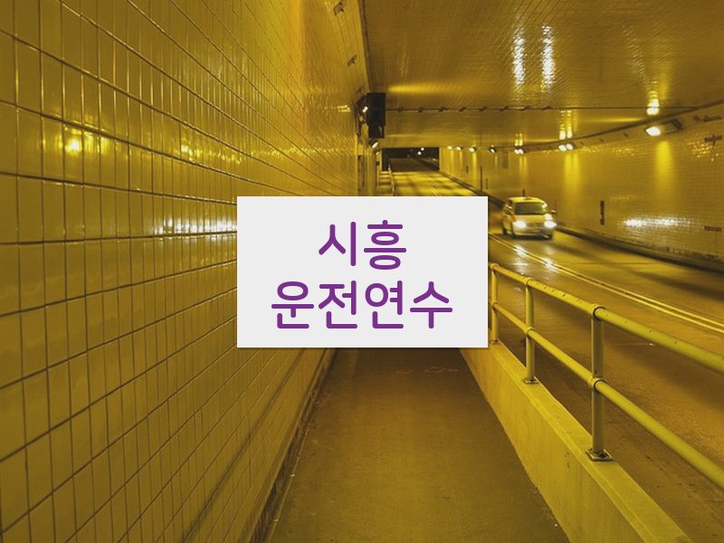 시흥운전연수 후기