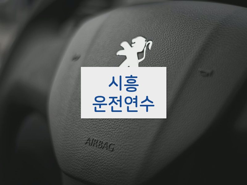 시흥운전연수 후기