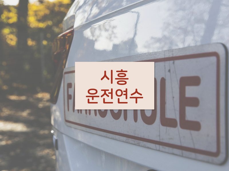 시흥운전연수 후기
