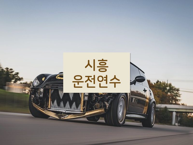 시흥운전연수 후기