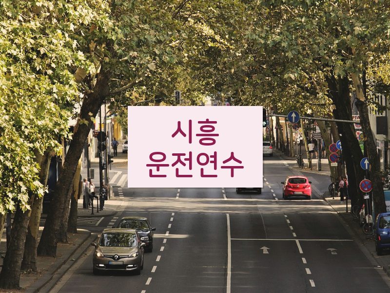 시흥운전연수 후기