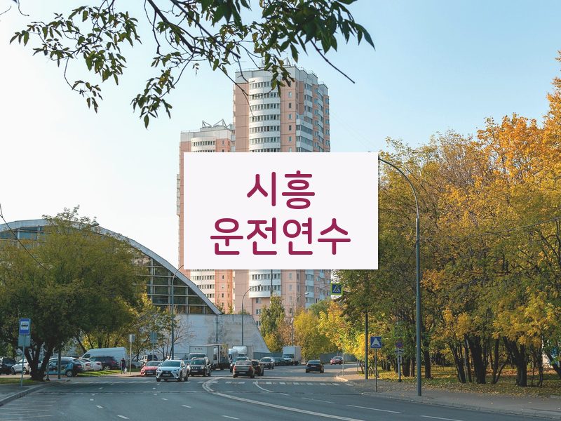 시흥운전연수 후기
