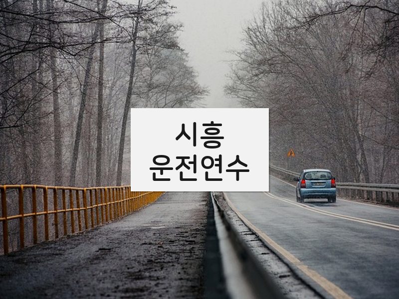 시흥운전연수 후기