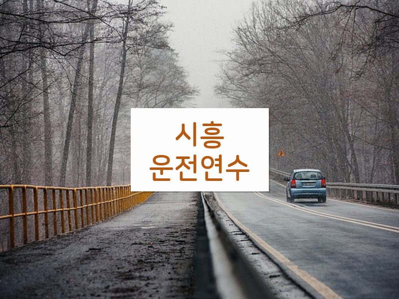 시흥운전연수 후기