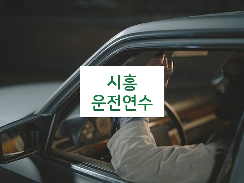 시흥운전연수 후기