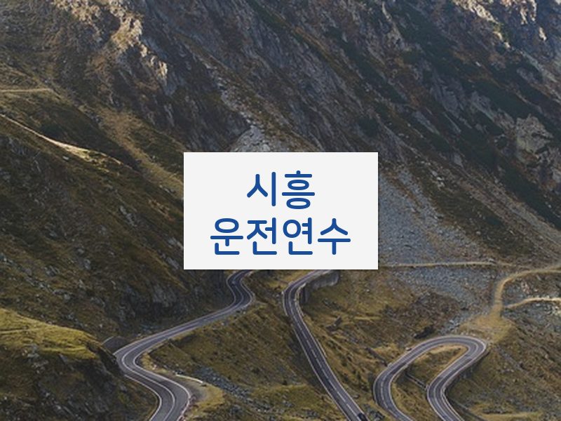 시흥운전연수 후기