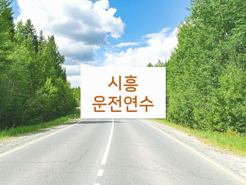 시흥운전연수 후기