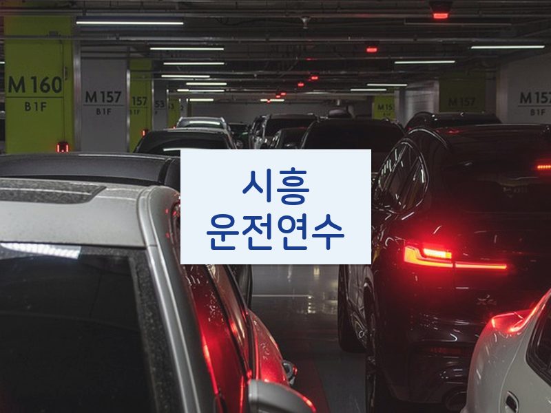 시흥운전연수 후기