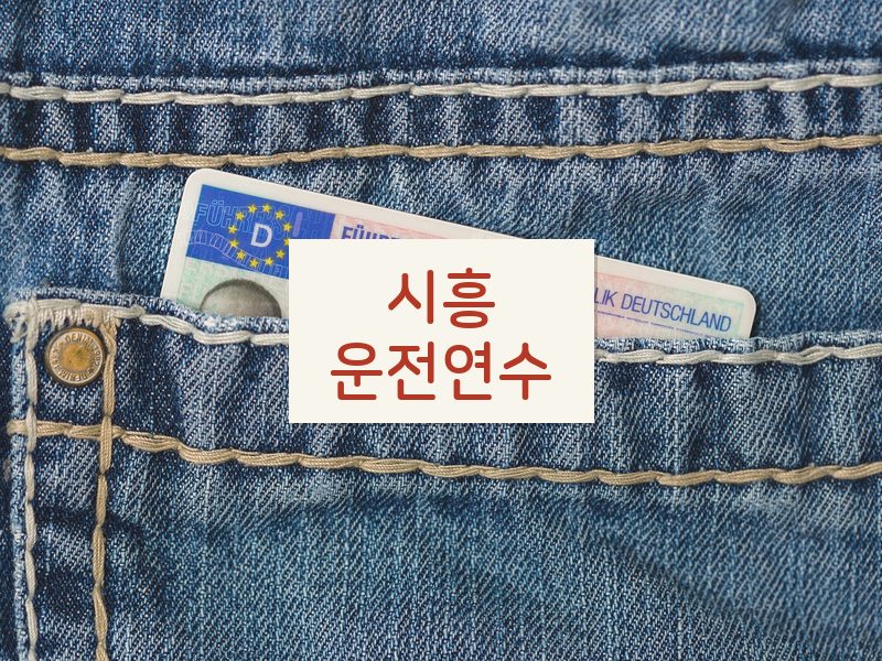 시흥운전연수 후기