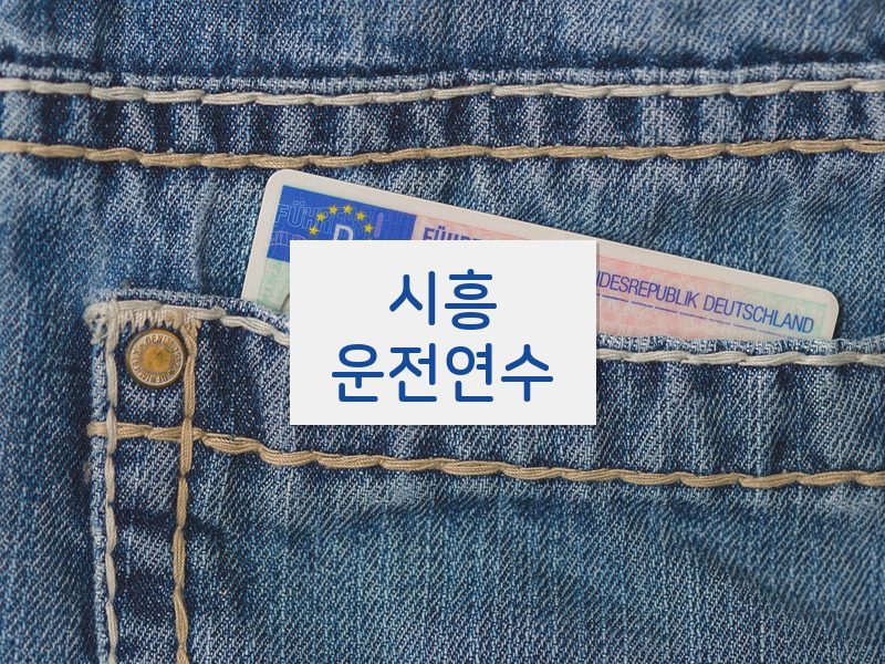 시흥운전연수 후기