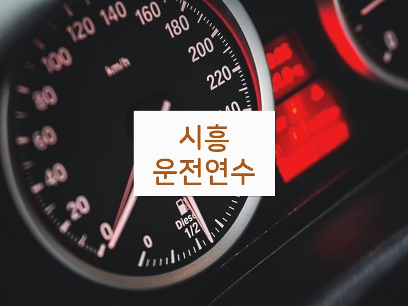 시흥운전연수 후기