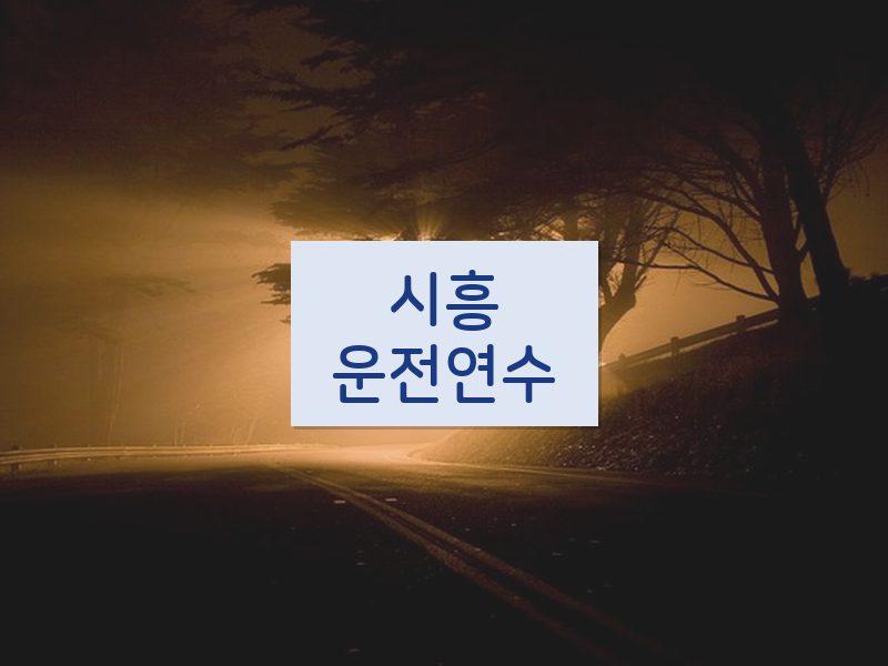 시흥운전연수 후기