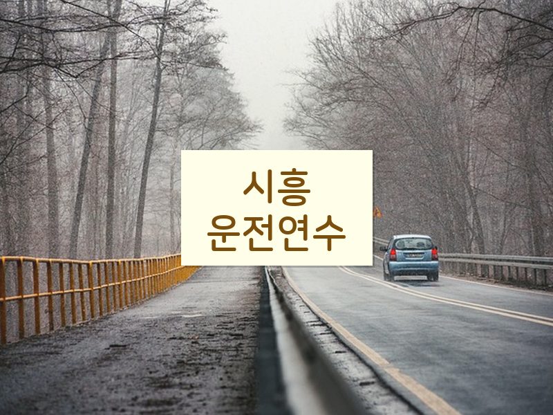 시흥운전연수 후기