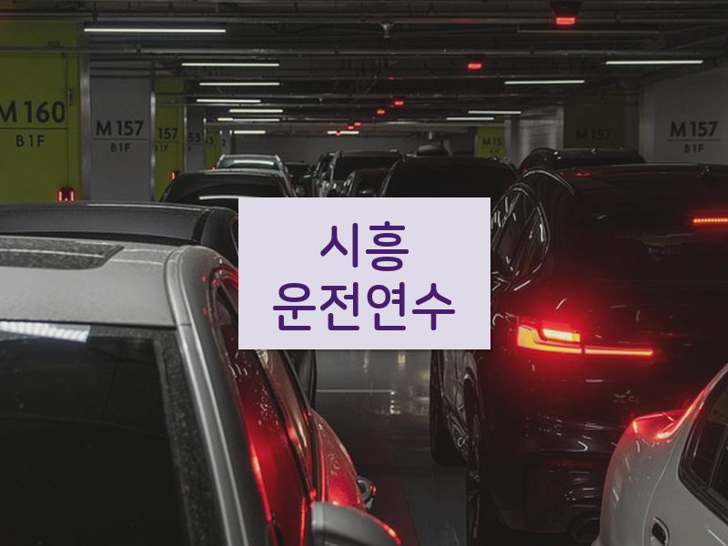 시흥운전연수 후기