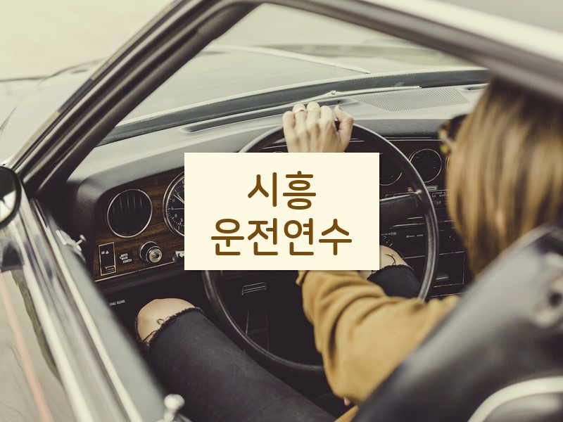 시흥운전연수 후기
