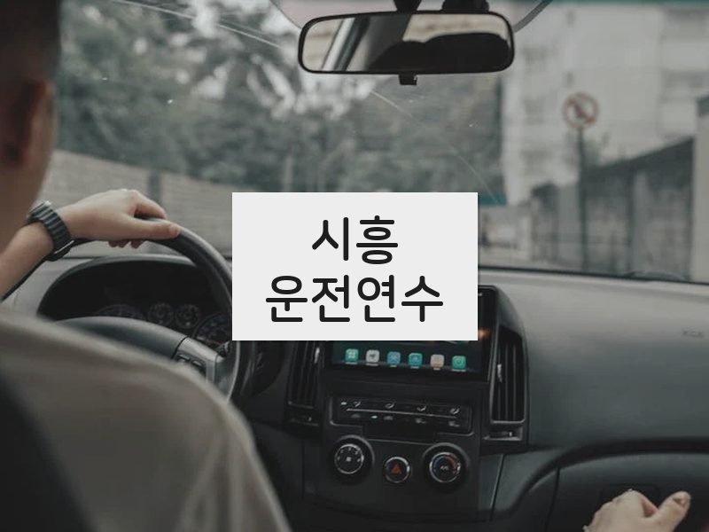 시흥운전연수 후기