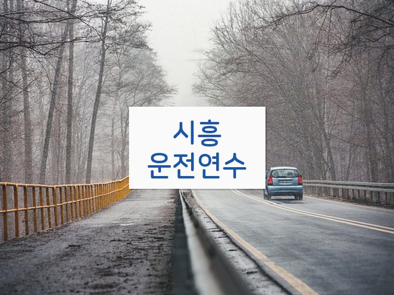 시흥운전연수 후기