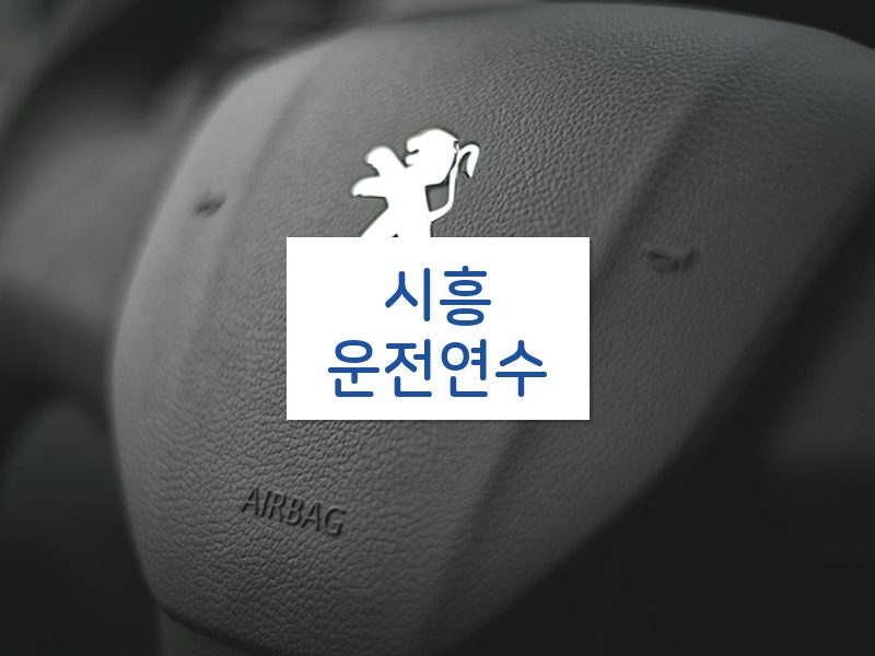 시흥운전연수 후기