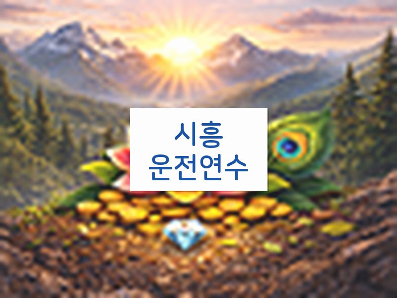 시흥운전연수 후기