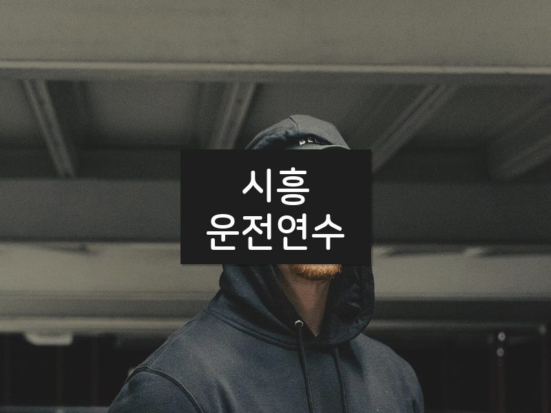 시흥운전연수 후기