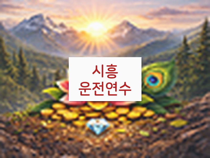 시흥운전연수 후기