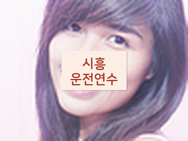 시흥운전연수 후기