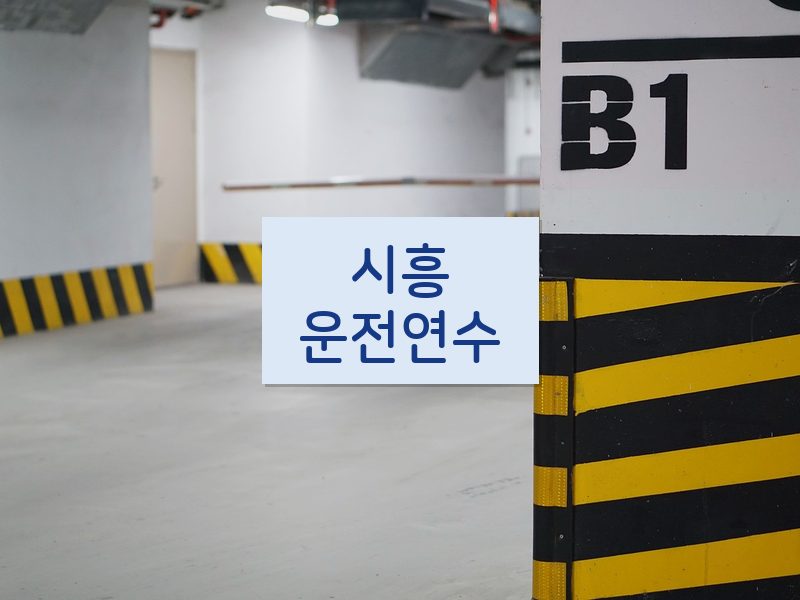 시흥운전연수 후기