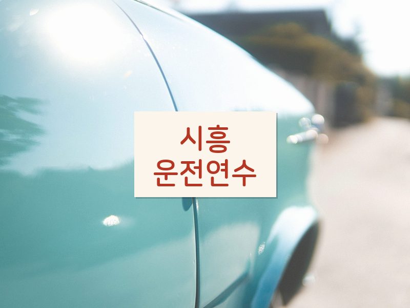 시흥운전연수 후기