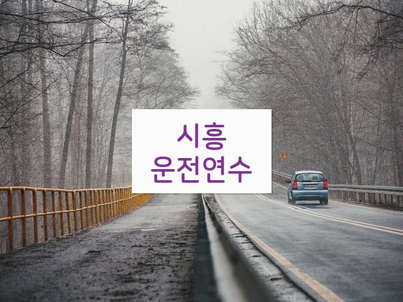 시흥운전연수 후기