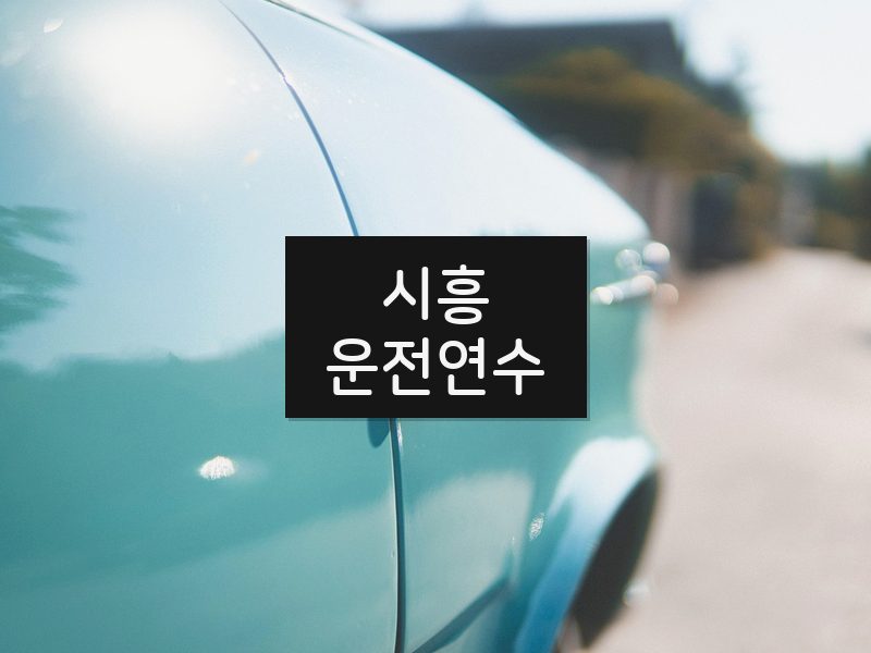 시흥운전연수 후기