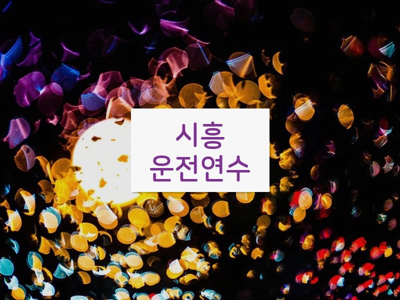 시흥운전연수 후기