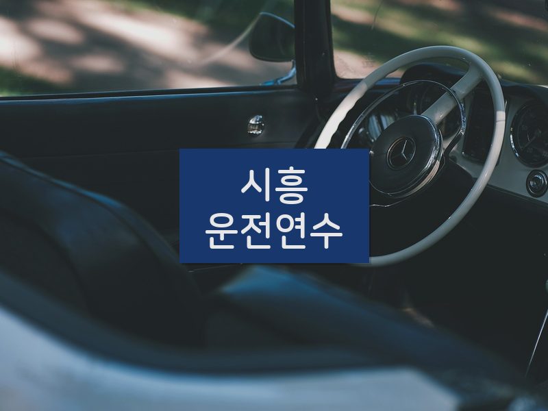 시흥운전연수 후기