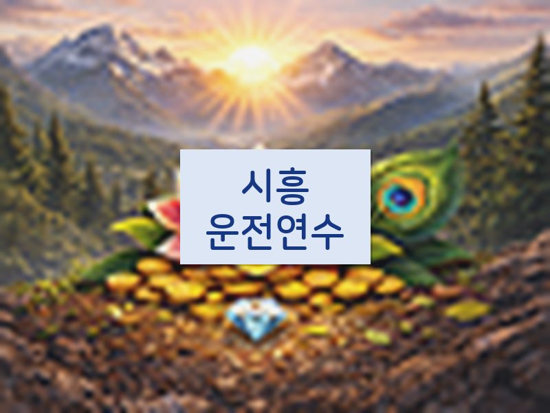 시흥운전연수 후기