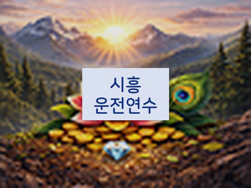 시흥운전연수 후기