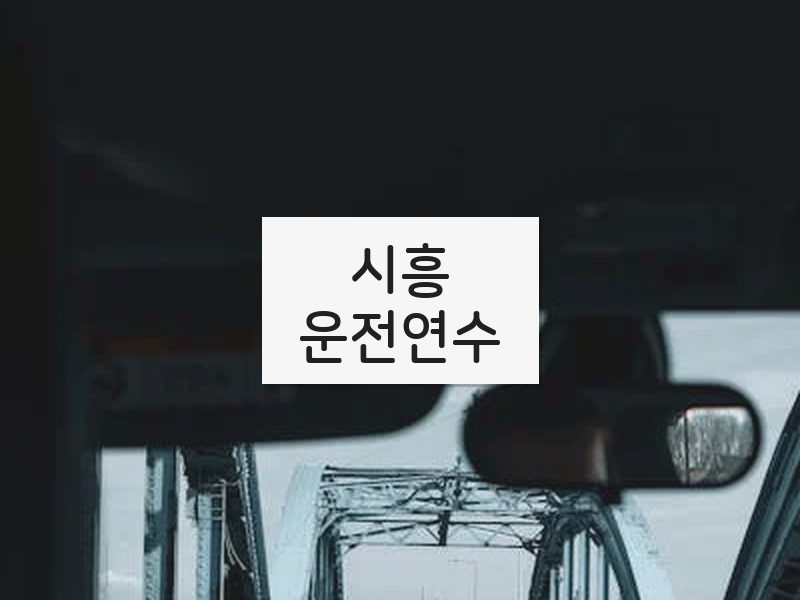 시흥운전연수 후기