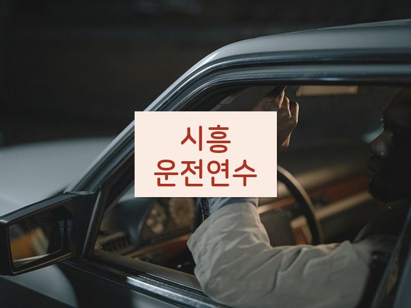 시흥운전연수 후기