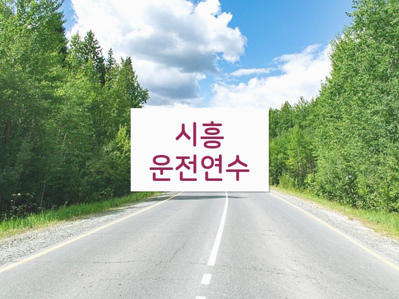 시흥운전연수 후기