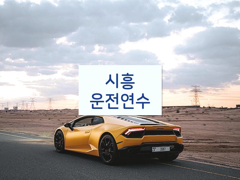 시흥운전연수 후기