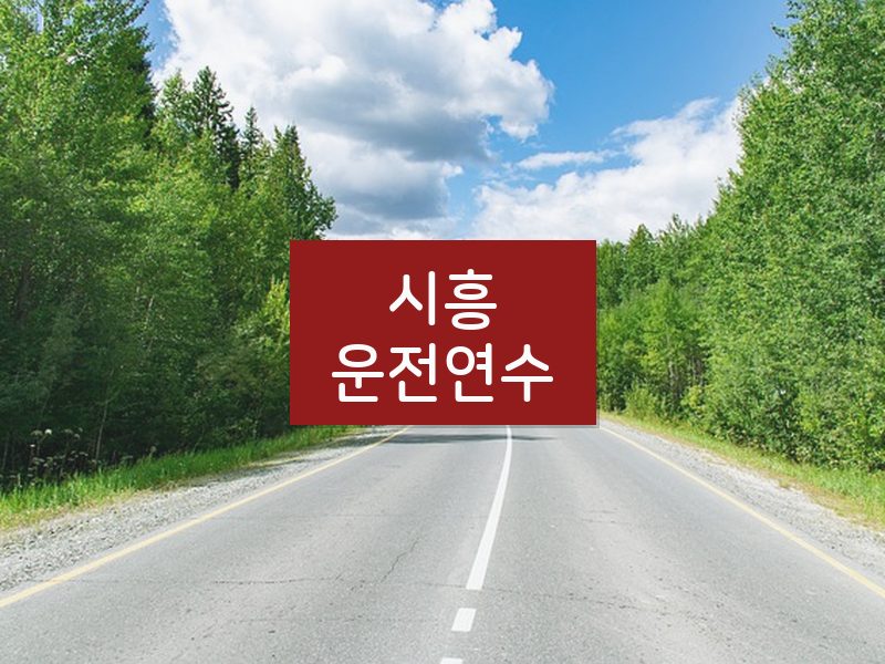 시흥운전연수 후기