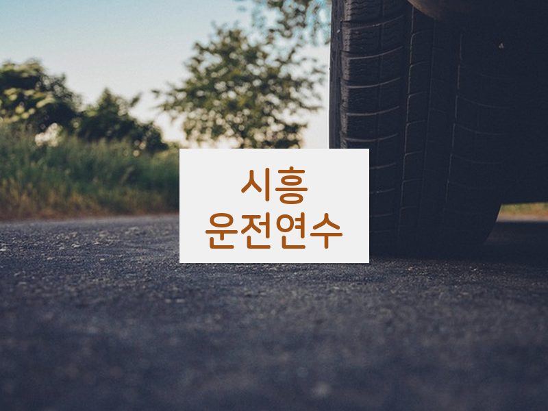 시흥운전연수 후기