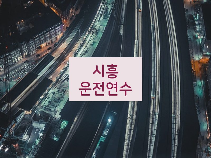 시흥운전연수 후기