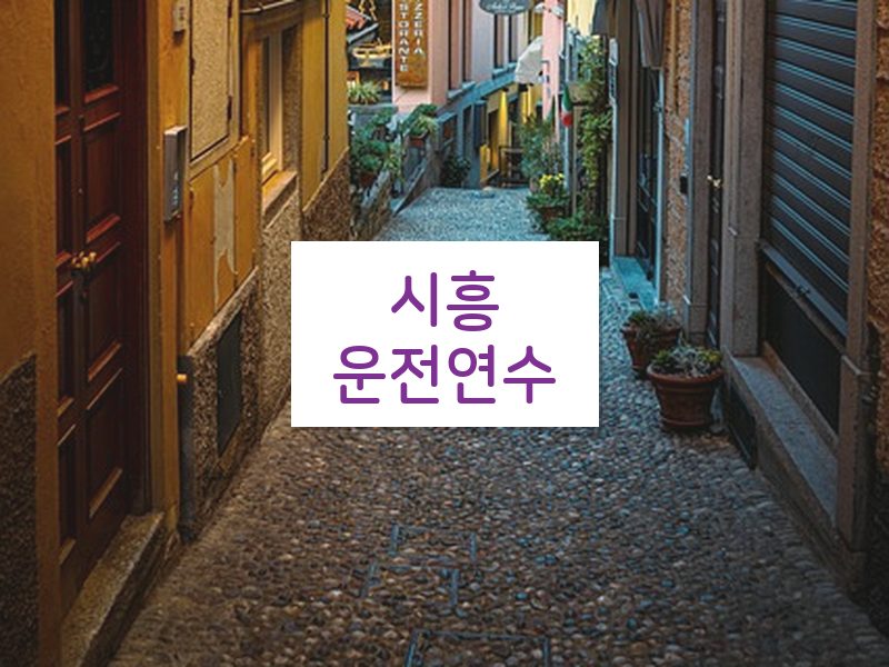 시흥운전연수 후기
