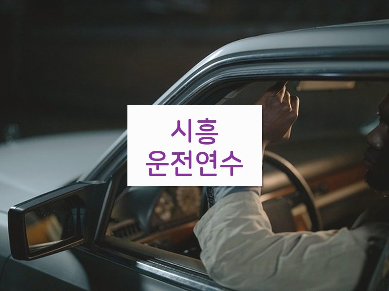 시흥운전연수 후기